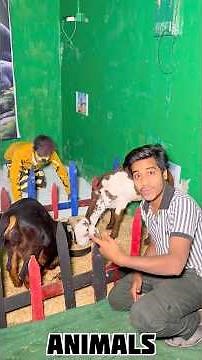 I Built Zoo In My House 😱 #minivlog #vlog #zoo #house