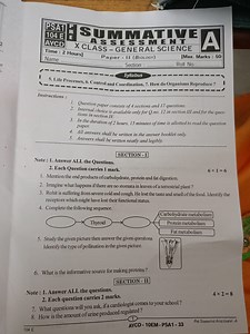 PSA1104 ETime: 2 Hours]NamePaper - II (Biologr)AE[Max. M... | Filo