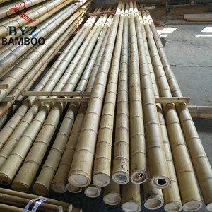 [Hot Item] Large Moso Bamboo Big Diameter Bamboo Poles for Construction