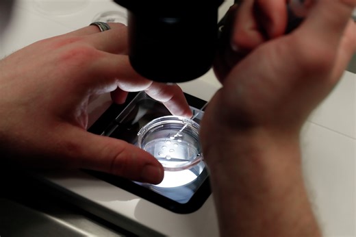 S.F. has one of the highest IVF birth rates in the U.S. These factors are behind the increase