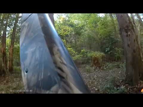 NC Deer season opening Day... Camera date wrong.. Like and subscribe for more.. #whitetailbuck SGD🦌