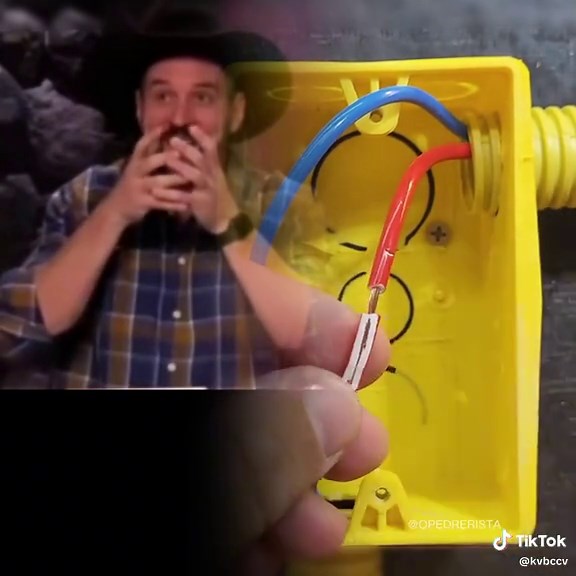 Fjord and Jester's Romantic Moments at London Liveshow