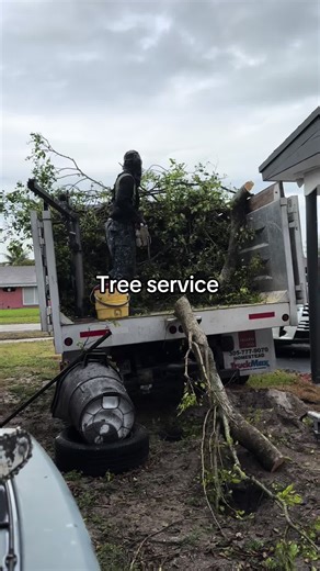 Franco Brothers LLC 🌳💪 Tree Service • Junk Removal • Lawn Care • Fencing • Concrete • Demolition • Asphalt • mowing Serving Kendall, Miami, Homestead, Hollywood & Fort Lauderdale #TreeService #JunkRemoval #LawnCare #mowing #ConcreteWork
