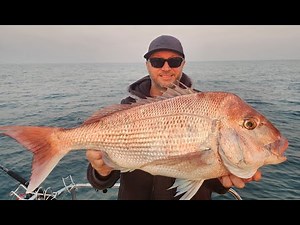 SNAPPER FISHING | PORT PHILLIP |