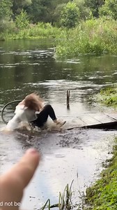 57K views · 315 reactions | Hollow Tremor: Calm Quivers Empty | Ava's Life Adventures | Facebook