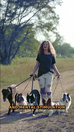 Cat Vs Dog Care | Which Pet Is Easier To Raise?