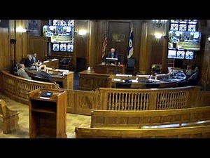 Springfield City Council Committee of the Whole Meeting 10/22/2025