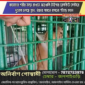 735K views · 6.1K reactions | Channel Bangla on Reels | Facebook