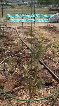 Hoppin' Good Sh*t! Bunny Brew Concentrated Fertilizer