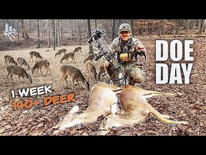 140+ Deer With a Bow!! Hunting Overpopulated Areas! (Feeding The Hungry)