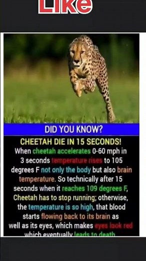 Science Facts |OMG 😱 😱 😱