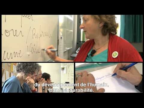 Conseiller (ère) en insertion professionnelle