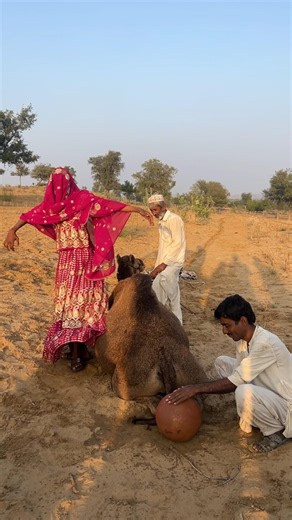 عَزْفٌ وَرَقْصٌ فِي قَلْبِ الصَّحْرَاءِ خَلْفَ الْجَمَلِ