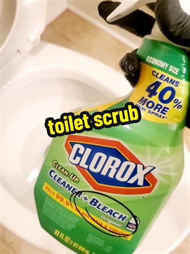 Effective Toilet Cleaning with Bleach