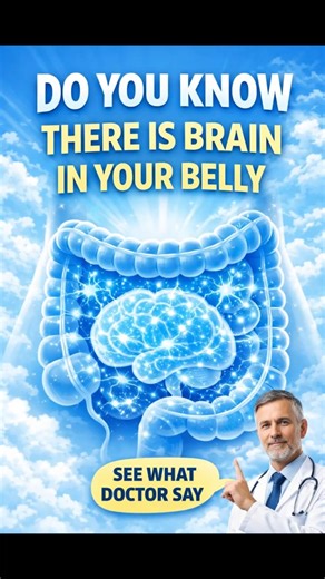 Your Second Brain: The Surprising Brain Inside Your Gut