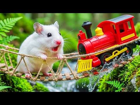 🛑Live ( MUST WATCH ): Hamster Escapes From Survival Maze in Real Life | Hamster Life