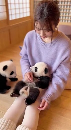 赤ちゃんパンダの可愛い瞬間