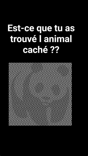 est-ce que tu as trouvé l animal caché ?? #shorts #illusion