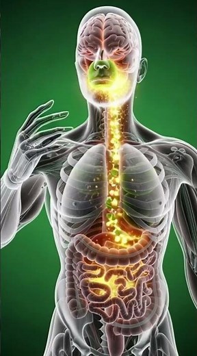 What Happens When You Eat Green Apple Daily?