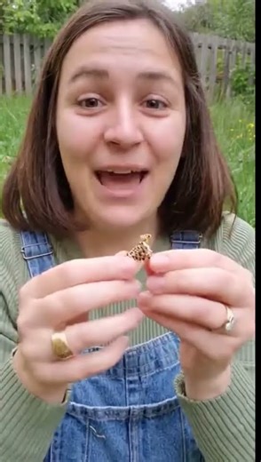 3D Beaded Cheetah Tutorial Short