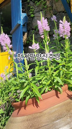 #천지팔양신주경 #범철스님#선재의불교음악 #buddhist music #Kpop #korea #meditation #healing #relax