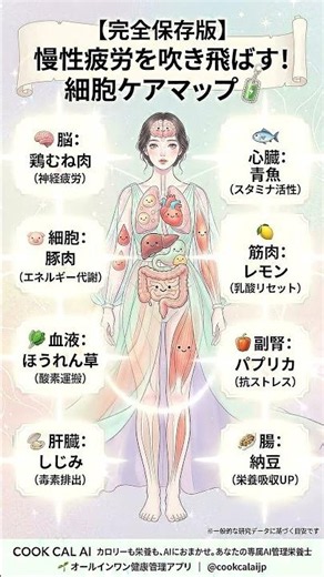 【完全保存版】慢性疲労を吹き飛ばす！エネルギー復活の「細胞ケアマップ」🔋