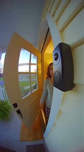 Woodpecker Rings Doorbell 47 Times