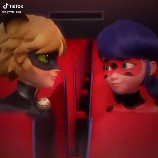 Ladybug and Cat Noir's Wedding Reveal in Miraculous Ladybug Season 5