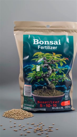 Why are my #bonsai leaves turning yellow? #garden #gardening #plants | Bonsaibarn