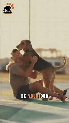 This Is Why Dogs Hump Your Leg 😂🐶