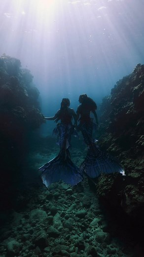 Mermaids dancing at the bottom of the sea 🩵🌊 #professionalmermaid #mermaids #sirens tails by Merbella Studios Inc. | Mermaid Sirenity