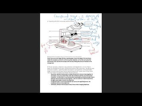 Lab Practical 1_Study Guide