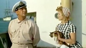 2.5K views · 136 reactions | ПОЛОСАТЫЙ РЕЙС  Интересно, что этот...