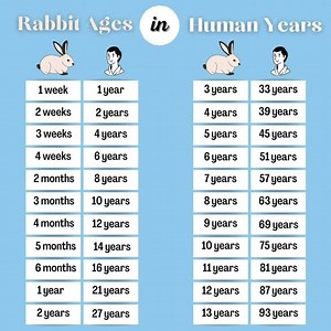 Rabbit age vs Human Age #rabbit #fblifestyle #UniquePets | Farming Tech& Business