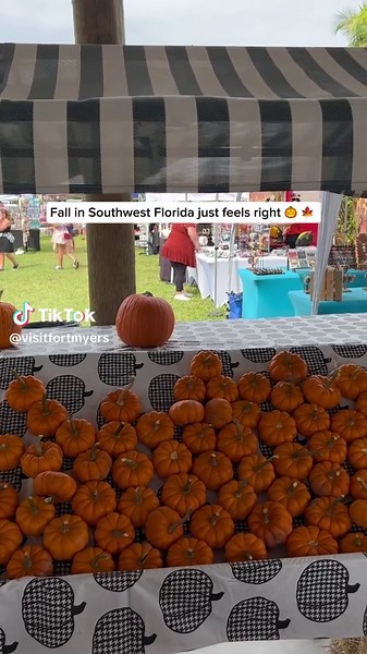 Experience the Charm of Fall in Fort Myers