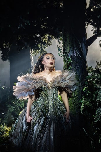 Into the Woods review: A triumphant musical mash-up of fairytales