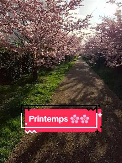 Spring Vibes in the Alley: Embracing Banlieue Life