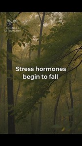 5.4K views · 144 reactions | Research shows physical contact with nature lowers stress and supports nervous system balance. | Science and Astronomy | Facebook