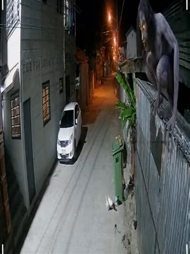 Aswang Encounters Captured on CCTV