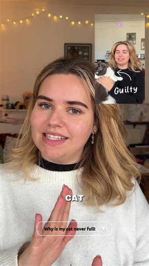 UGC EXAMPLE - here is a video I created for KatKin last year! I love working on cat campaigns so I get to show off Lilah! #ugc #ugcexample #ugcportfolio #ugcuk #petugc