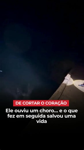 Cachorrinha abandonada presa em caixa no rio: resgate e final feliz
