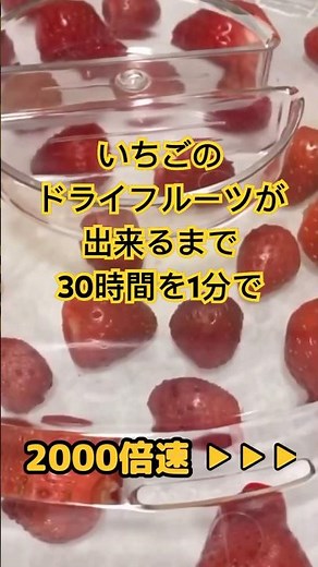 2000倍速！フードドライヤーでいちごのドライフルーツを作ってみた！