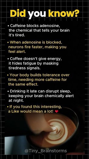 How Coffee Tricks Your Brain Into Feeling Awake