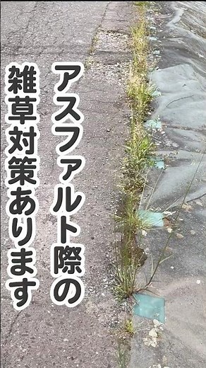 アスファルト際の雑草対策あります #防草シート #防草シートドットコム #雑草対策