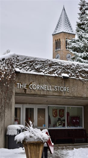 Snow days were made for staying warm and browsing the new Cornell clearance drop ☃️❄️ #cornellstore #cornelluniversity #clearance | The Cornell Store
