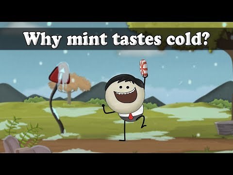 Taste Buds - Why mint tastes cold? | #aumsum #kids #science #education #children