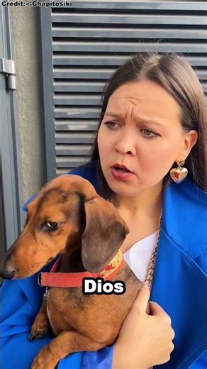 When the owner sent Sonu to the mall alone 🐶 #shorts #reels