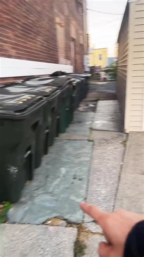 Understanding Bluestone Sidewalks and Cobblestone Roads