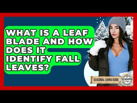 What Is A Leaf Blade And How Does It Identify Fall Leaves? - Seasonal Living Guide