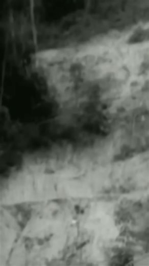 HANYA ENGKAULAH KEKASIH - S C O I N - #jiwang #jiwangterukss #abgjiwang95 #abangjiwang90an #assalamualaikum